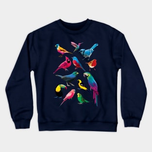 Colorful Birds Crewneck Sweatshirt